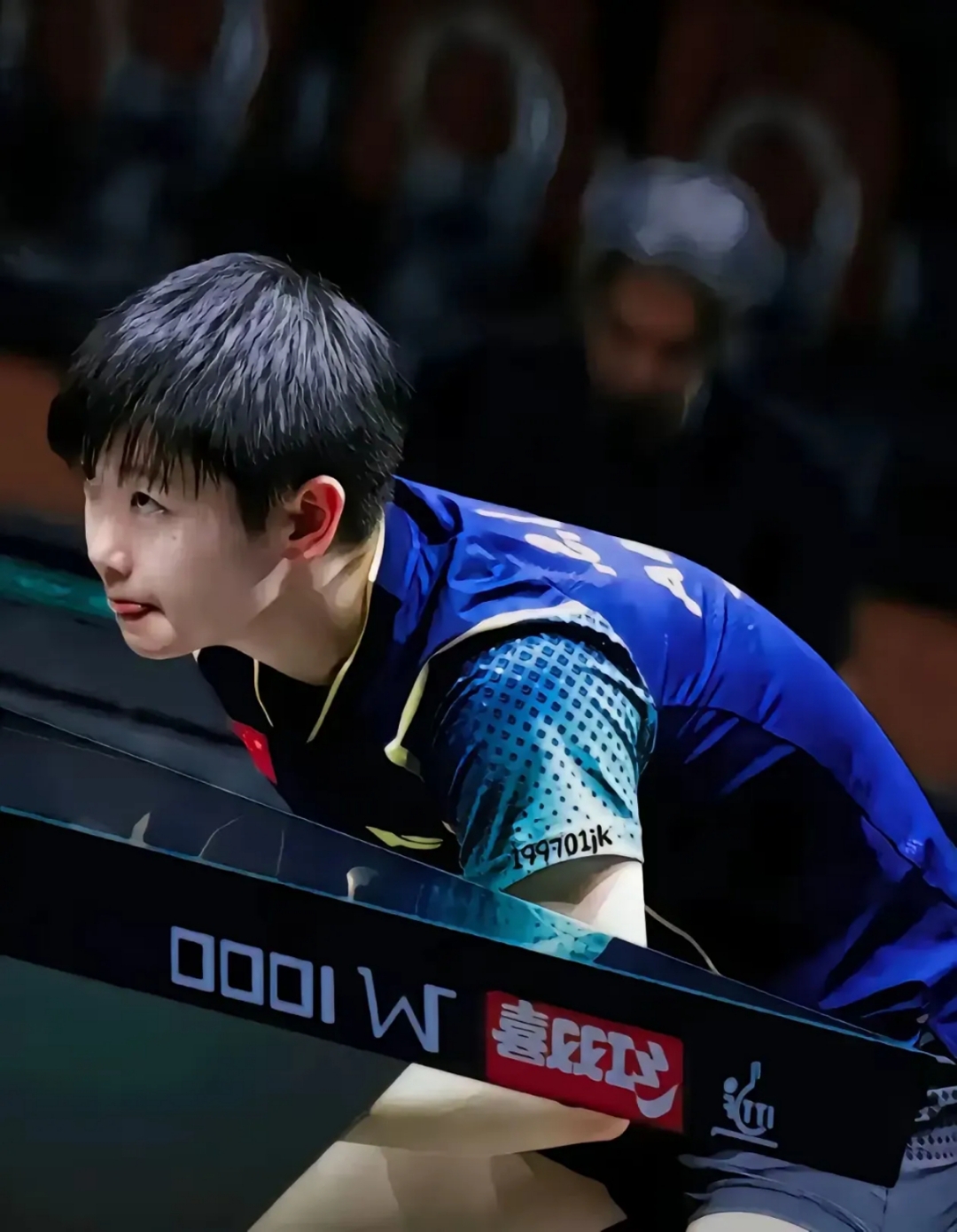 包含体操赛场再起风云：关东赤兔队惊险晋级雪域火箭队，赛场气氛火爆教练团队居功至伟的词条